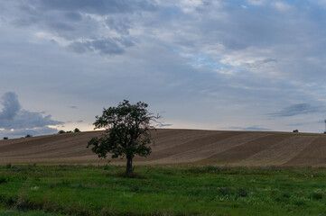Obraz premium Landschaft im Herbst