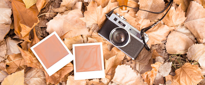 Top view of an analog camera and two snapshots of fallen leaves in autumn.