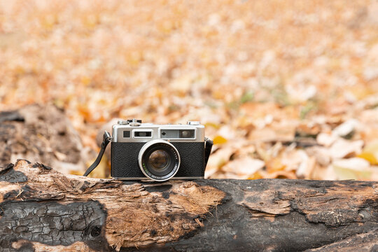 Vintage camera resting on a tree trunk surrounded by fallen leaves in the autumn season. Space for text.