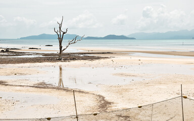 Koh Mak beach  © Dagmara Bartnik