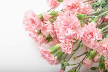 Fototapeta na wymiar Beautiful Pink carnation bouquet on white background, gift card, holiday, good mood