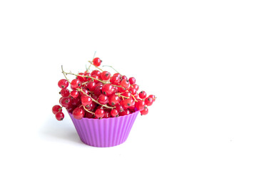 isolated on white basket for a cupcake with berries Red currant, the concept of proper nutrition and health