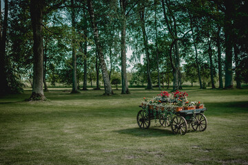 Obraz na płótnie Canvas Chariot in the park