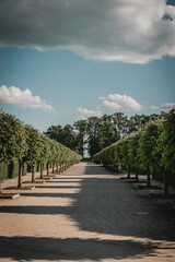 path in the park