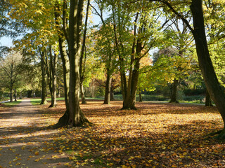 Fototapeta premium Herbstliche Stimmung in einer schönen Parkanlage