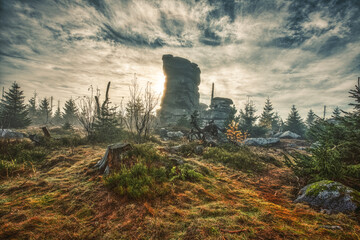Stone at a hiking path at Dreisesselberg in Bavaria / Germany