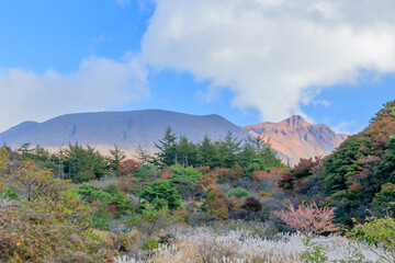 雨ヶ池から見た大船山（秋）　くじゅう連山　大分県玖珠郡　Mt.Daisenzan seen from Amagaike (autumn) Kujuurenzan Ooita-ken Kusu-gun