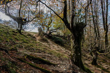 Parajes de naturaleza del Monte Adarra