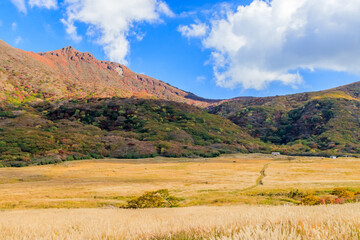 Fototapeta premium 坊ガツルと大船山（秋）くじゅう連山 大分県玖珠郡 Bougatsuru and Mt.Daisenzan (Autumn) Kujuurenzan Ooita-ken Kusu-gun
