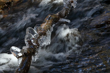 icy branch over stream