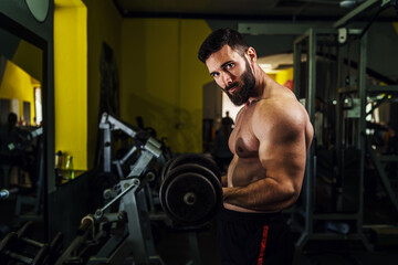 Fototapeta na wymiar Side view on muscular man strength training at dark gym - male caucasian athlete with beard muscle workout doing bicep with dumbbells - fitness and power concept copy space