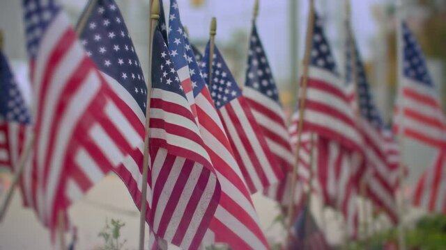 Multiple American Flags in the wind, filmed in 4K RAW