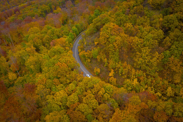 Visegrad, Hungary - Aerial view of curvy road going through the forest, autumn mood, warm autumn colors. Green, red yellow and orange colored trees.