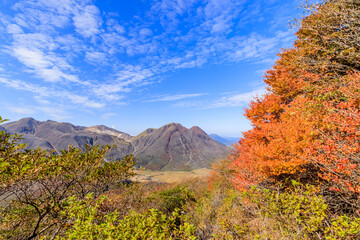 大船山登山道からみた三俣山と紅葉　くじゅう連山　大分県玖珠郡　Mt.Mimatayama and Autumn leaves senn from Mt.Daisenzan Trail Kujuurenzan Ooita-ken Kusu-gun