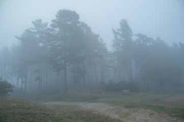 Herbstliche Landschaft im Nebel