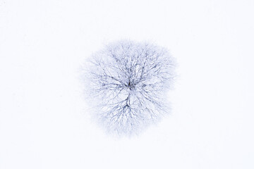 An abstract aerial of a snowy tree with frozen branches in wintery Estonia. 