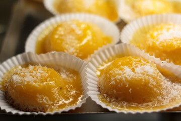 Delicious portuguese sweet cake with egg custard