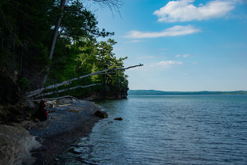 hammock on the beach