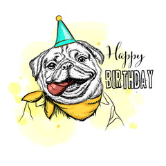 Pug dog in a hat. Funny animals. Happy Birthday card. Humor poster, t-shirt composition