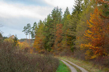 Fototapeta premium Landschaft im Herbst