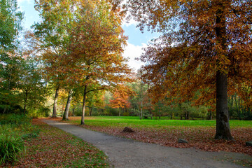 Fototapeta na wymiar Waldweg im Herbst