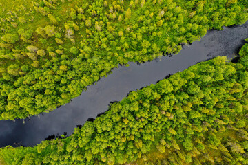 Aerial view of a river and forest in Finnish Lapland	