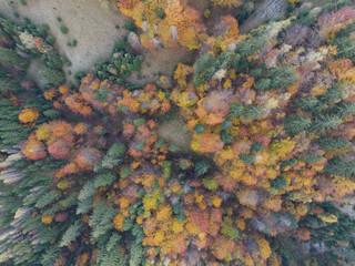 Autumn landscape from above in Pestera county, Romania