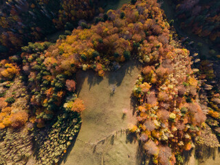 Autumn landscape from above in Pestera county, Romania
