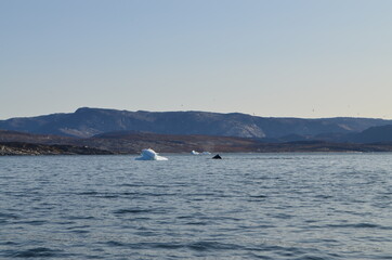 Obraz premium Iluissat, Oqaatsut, Oqaitsut, formerly Rodebay or Rodebaai, Greenland