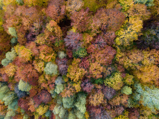 Fototapeta na wymiar Autumn landscape from above in Pestera county, Romania