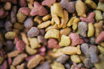 close up of cat food