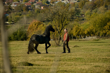 A black horse and a a man on a sunny autumn day.