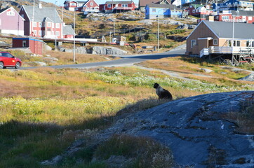 Iluissat, Oqaatsut, Oqaitsut, formerly Rodebay or Rodebaai, Greenland