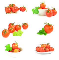 Group of tomatoes on a white background cutout