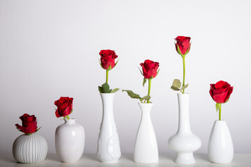 six white vases, each with a red rose against a white background