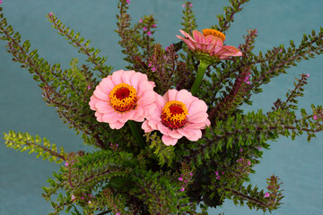 A floral arrangement with pink zinnia flowers and spikes of purple shiso flowers