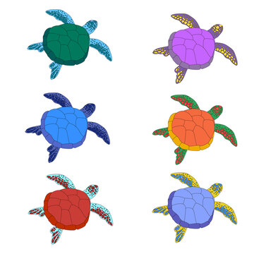 Cartoon turtle. Six. Set of cute multicolored turtles isolated on white background. Childrens motives of sea animals. Trendy colors.