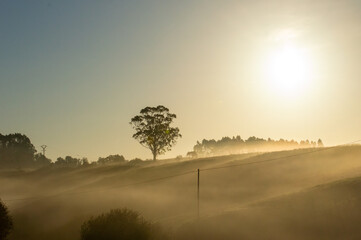 A misty sunrise at the hills of Cantabria, Spain