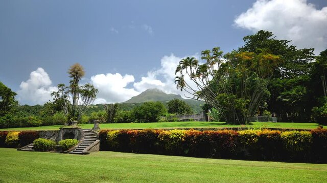 Beautiful garden in a rum distillery in Martinique view on the mount Pelee volcano sunny day 