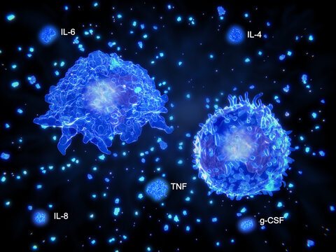 Cytokine storm, macrophage and T  cell segregating cytokines