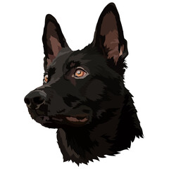 German Shepherd. Portrait of a black dog. Vector illustration, drawing.