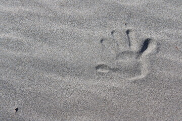 hand print in the sand