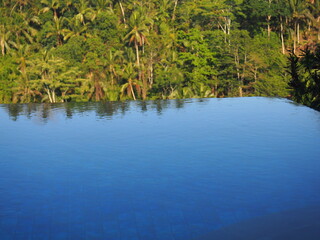 Amazing private infinity pool overlooking a tropical jungle, Ubud, Bali, Indonesia