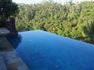 Amazing private infinity pool overlooking a tropical jungle, Ubud, Bali, Indonesia