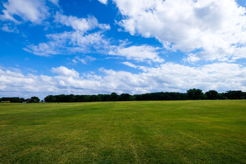 茨城県ひたちなか市の公園の大草原