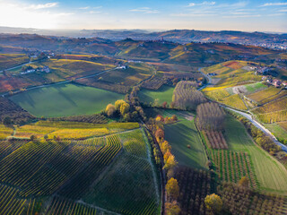 Vineyards landscape, rows of wine country in beautiful autumn colors of red, yellow and gold in...
