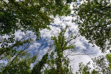 Landschaft im Herbst