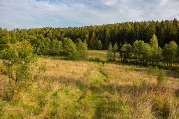 Beautiful valley and coniferous forest in the background. Autumn landscape in the wild. Kuvshinovo, Zhukovsky District, Kaluga Region, Russia