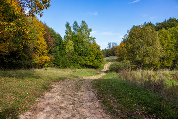 A winding rural path in a picturesque setting
