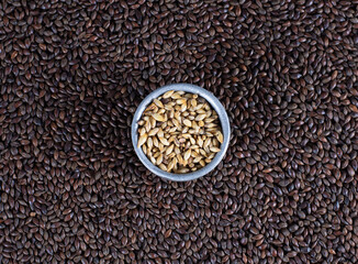 Black malt background with a metal rim with pale malt, craft beer concept